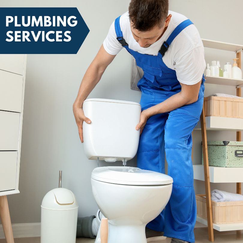 Plumbing Company in Aurelia, IA